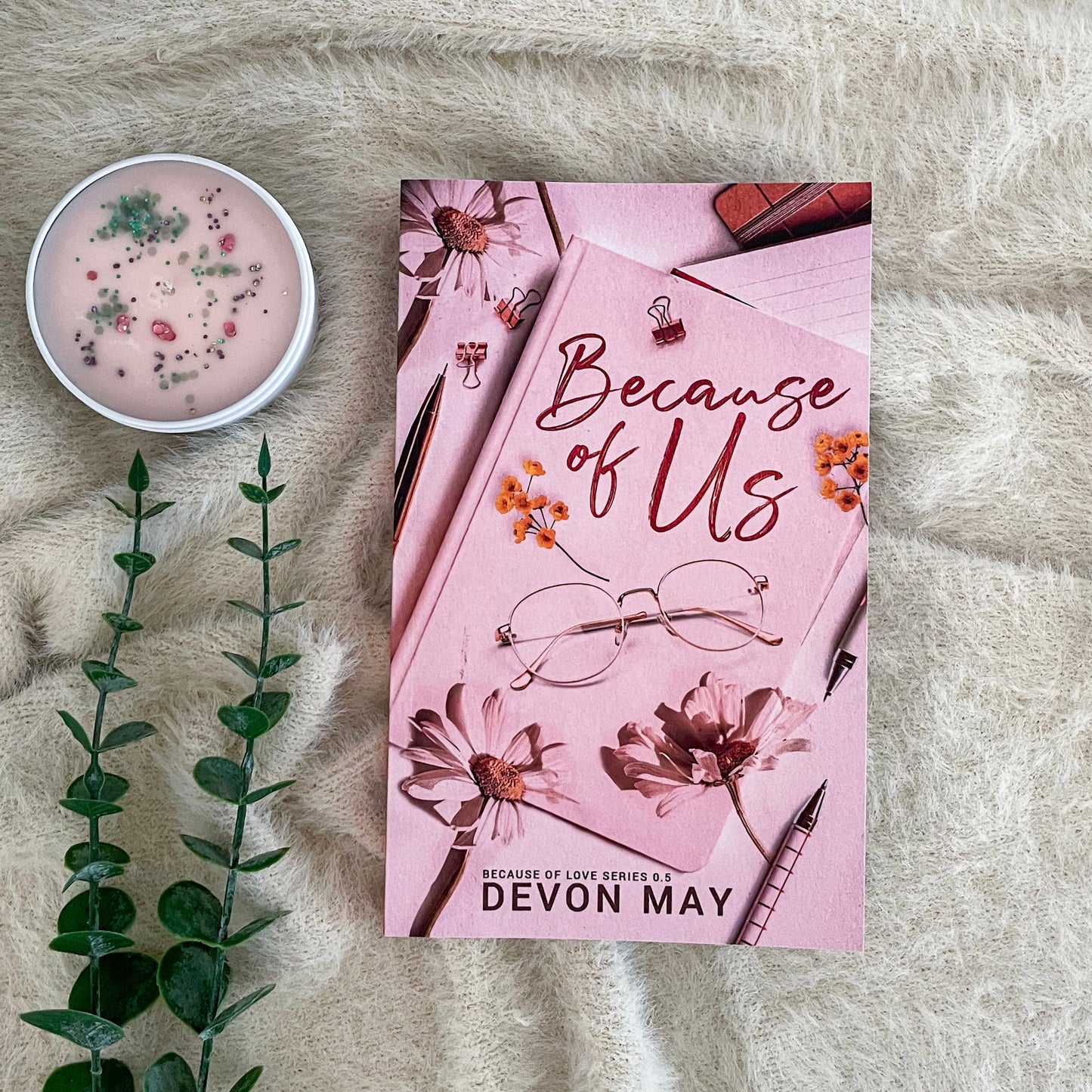 Because of Love series by Devon May