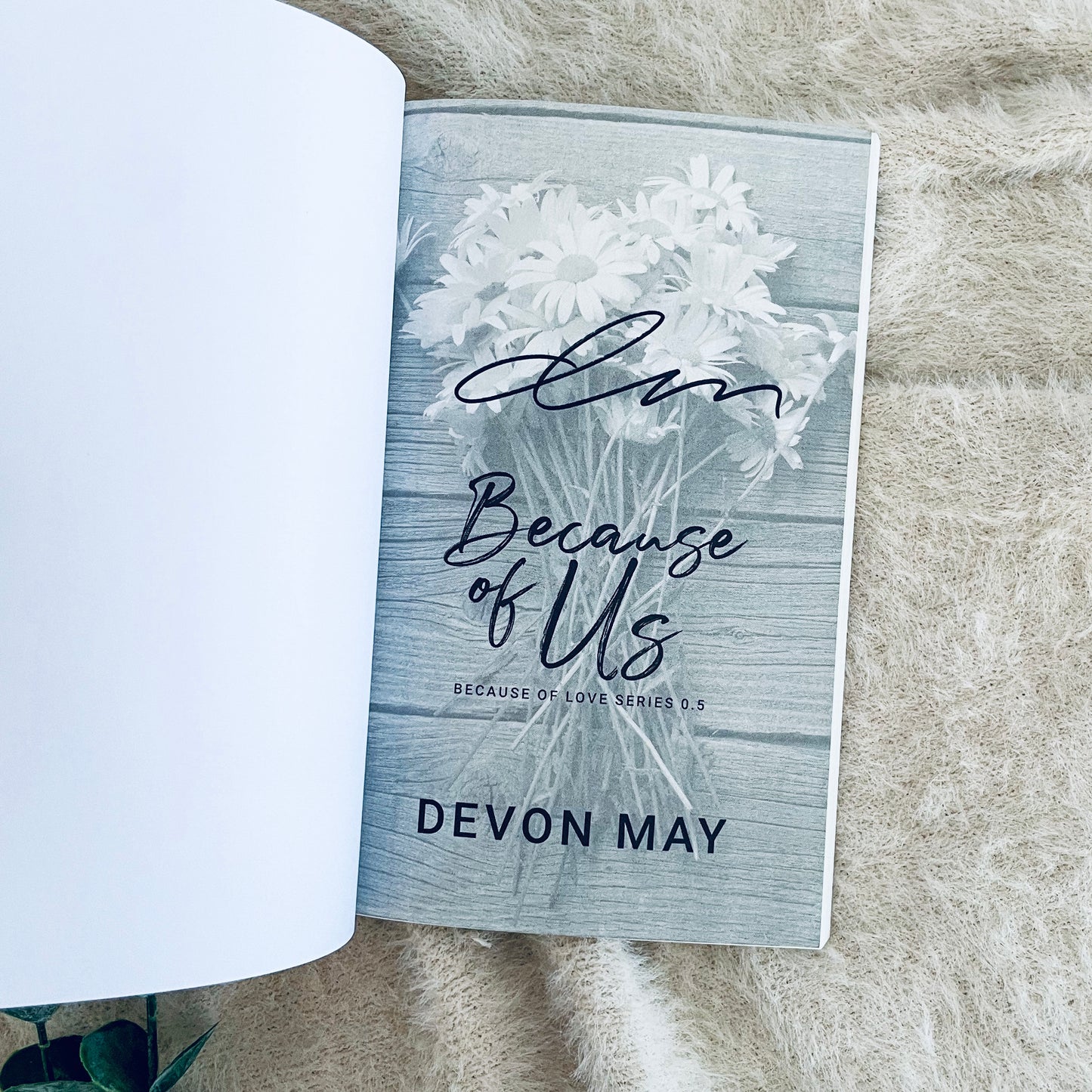 Because of Love series by Devon May