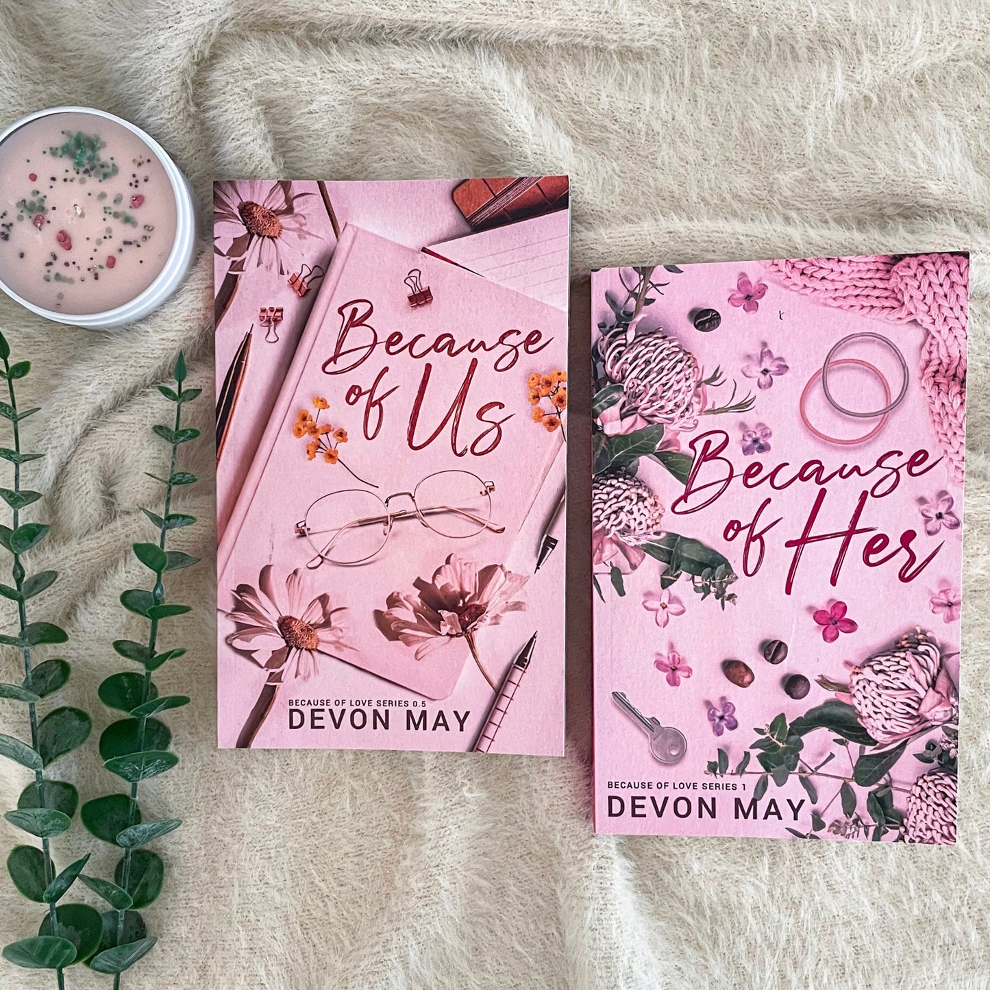 Because of Love series by Devon May