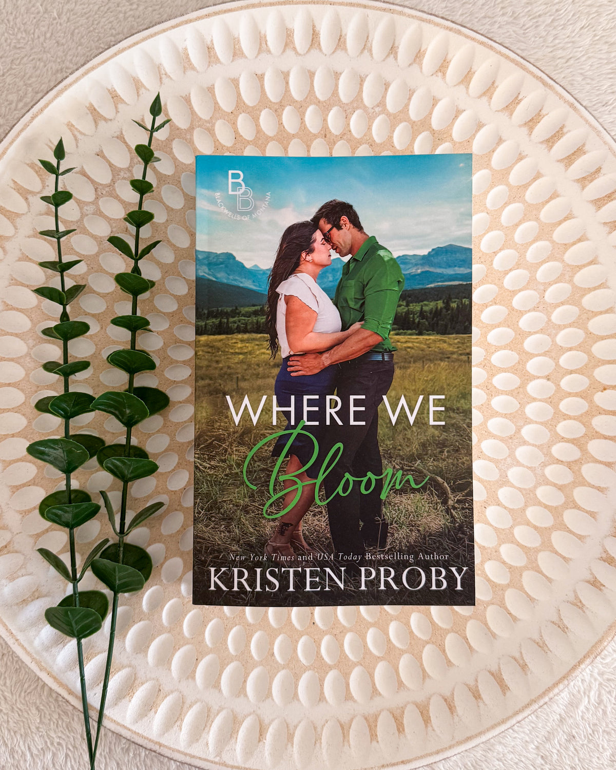 The Blackwells of Montana series by Kristen Proby