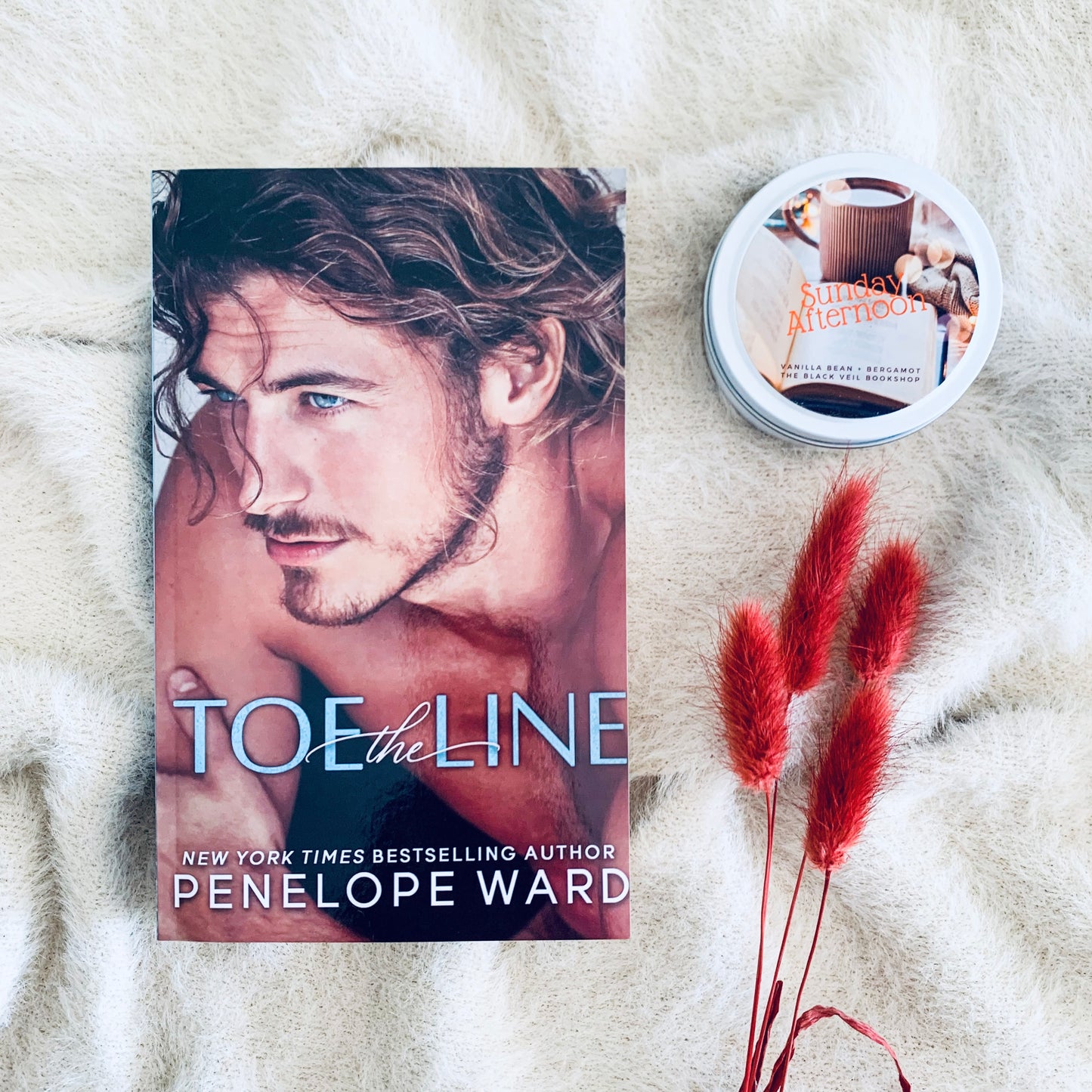 Toe the Line by Penelope Ward