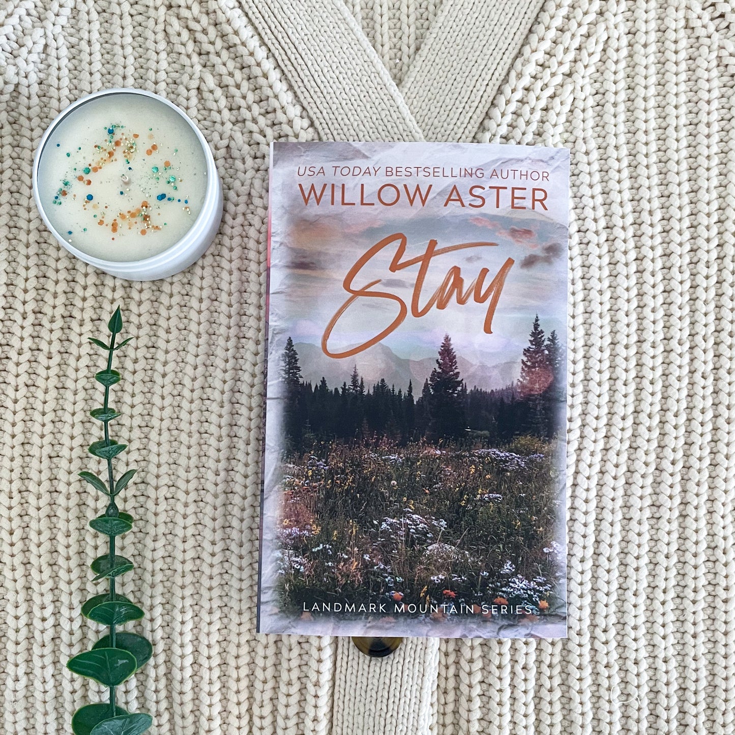 Landmark Mountain series by Willow Aster