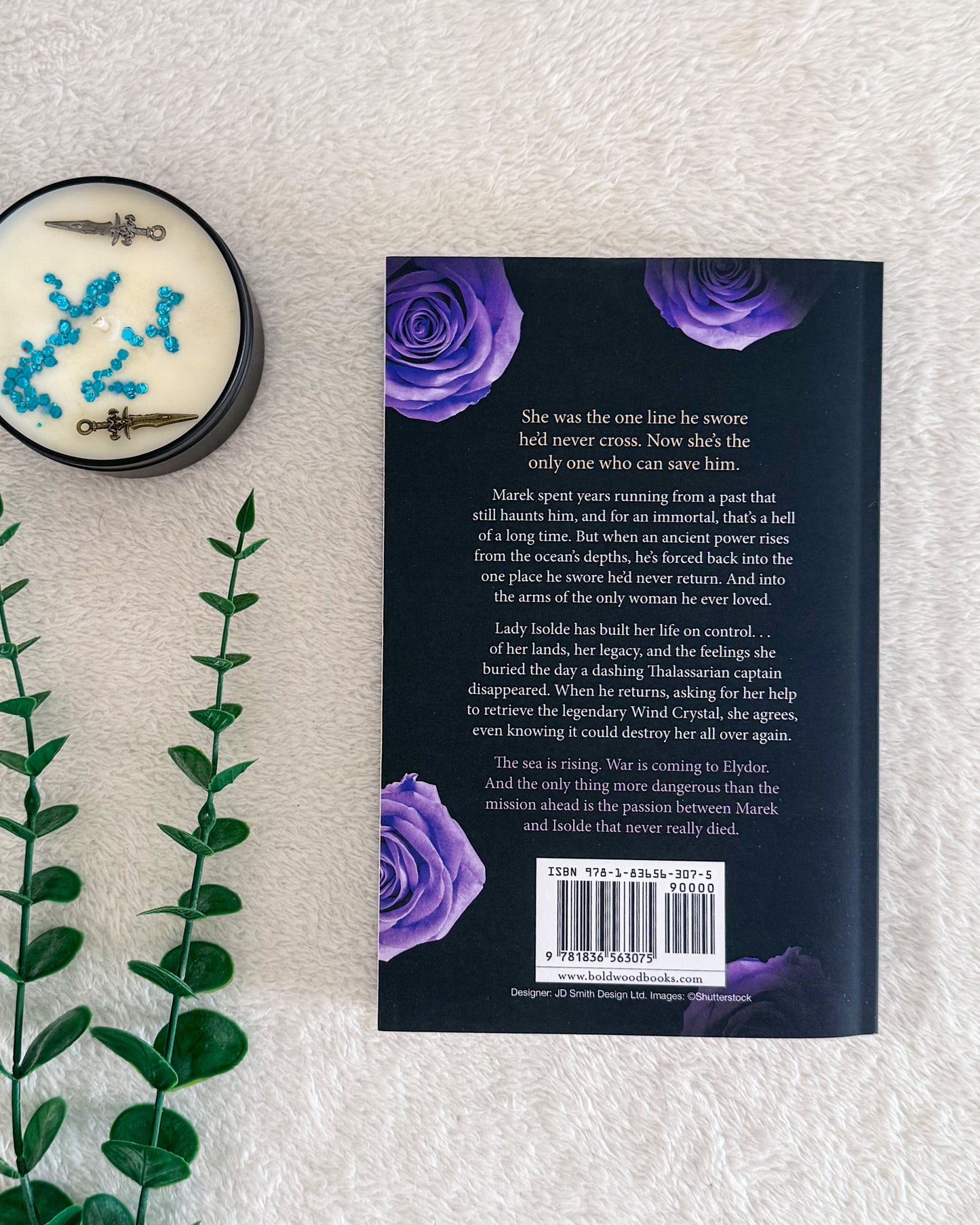 Heirs of Elydor series by C L Mecca