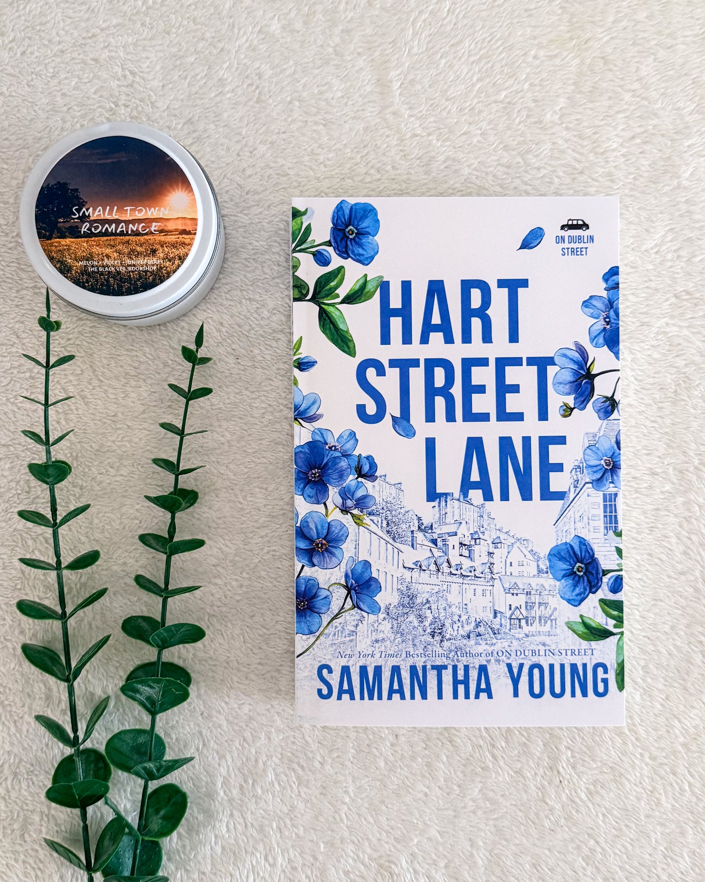 Return to Dublin Street series by Samantha Young