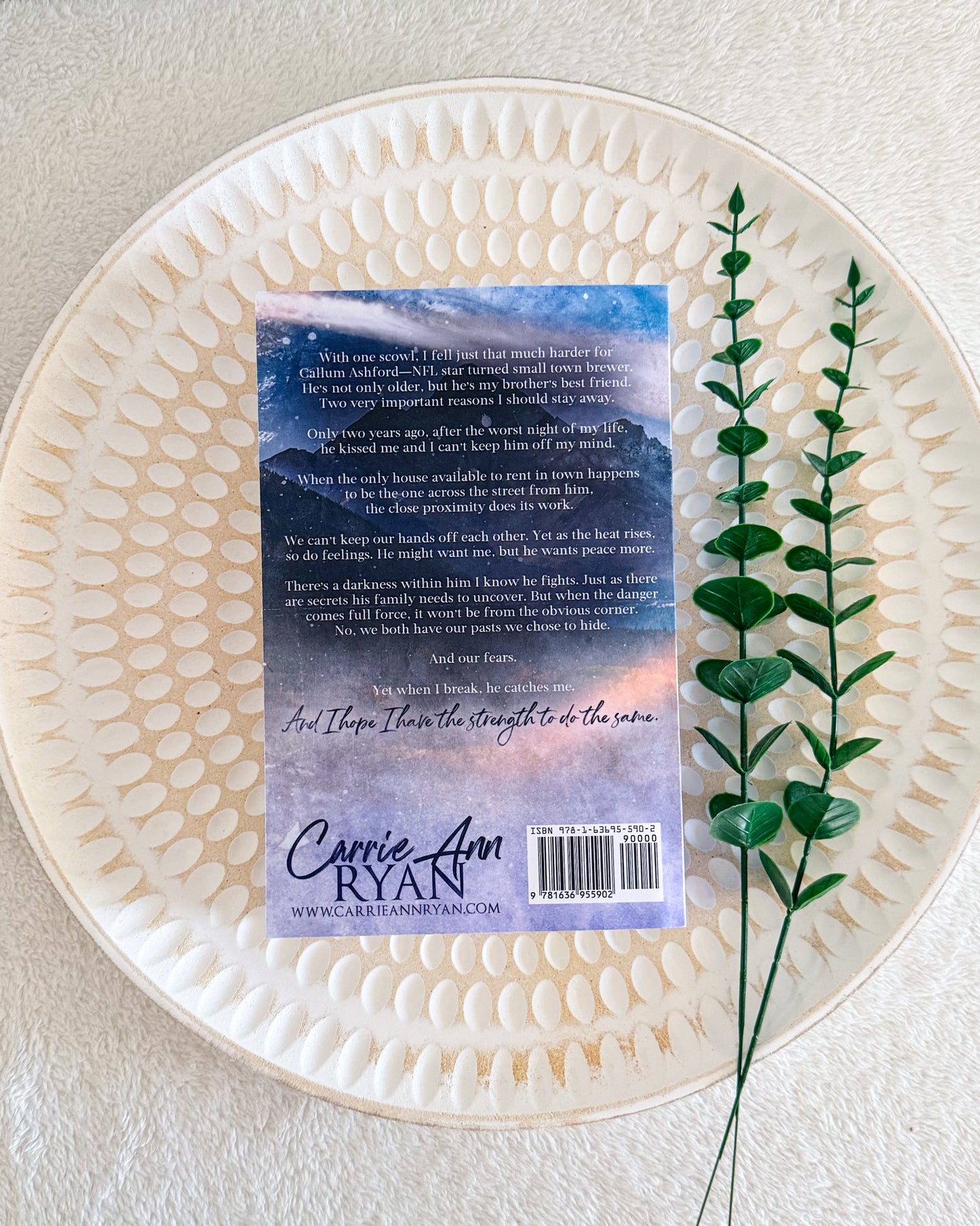 Ashford Creek series by Carrie Ann Ryan