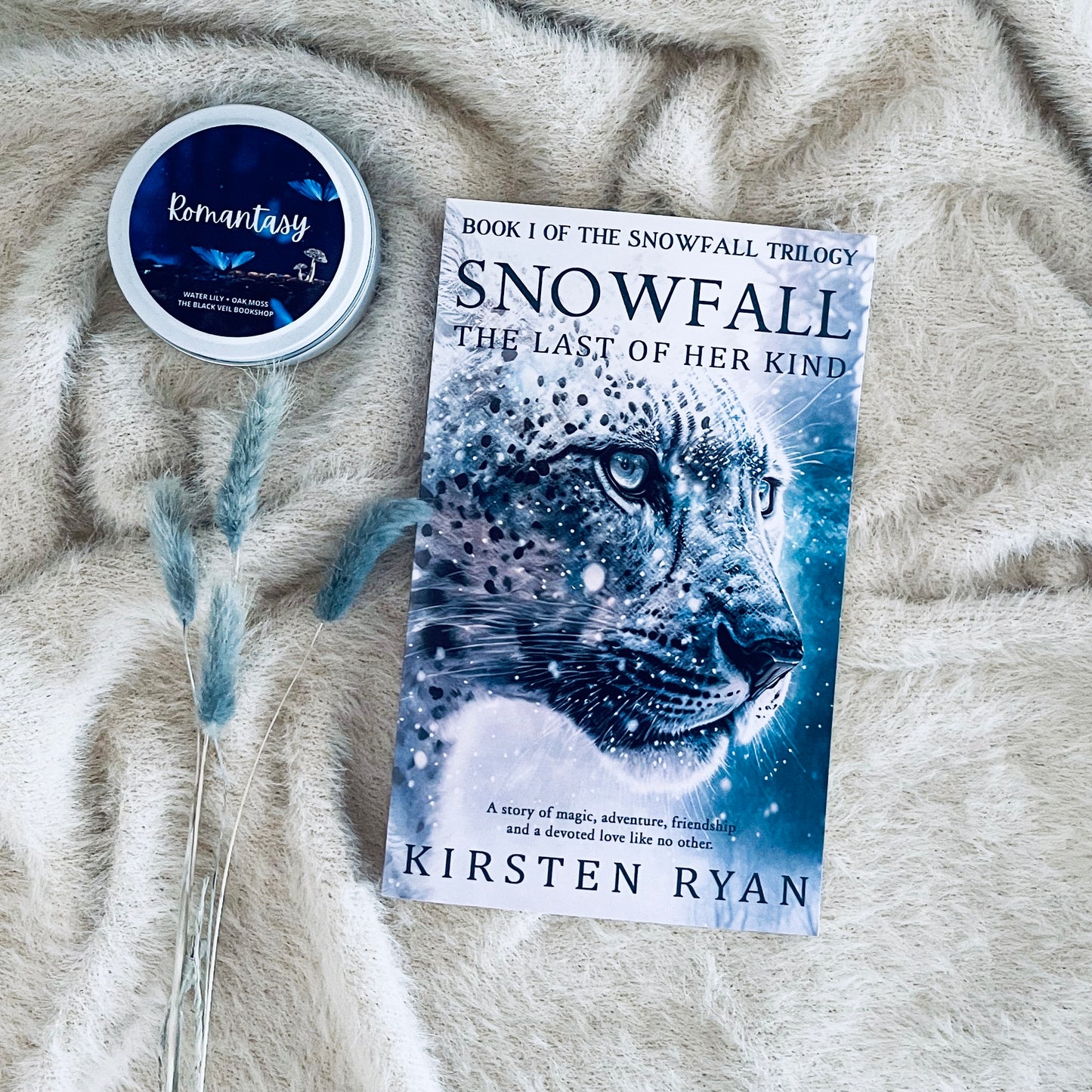 Snowfall Trilogy by Kirsten Ryan