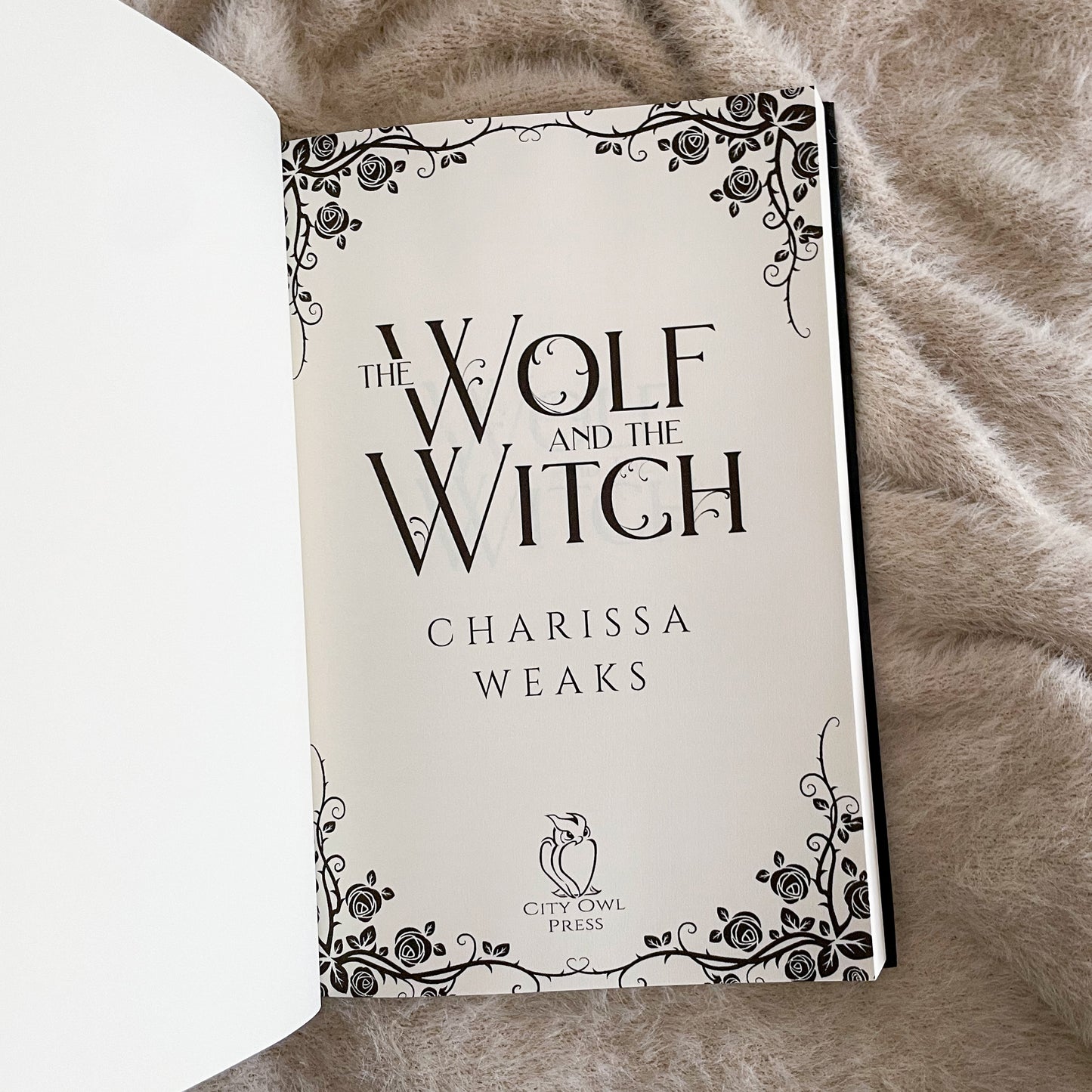 Witch Walker series by Charissa Weaks