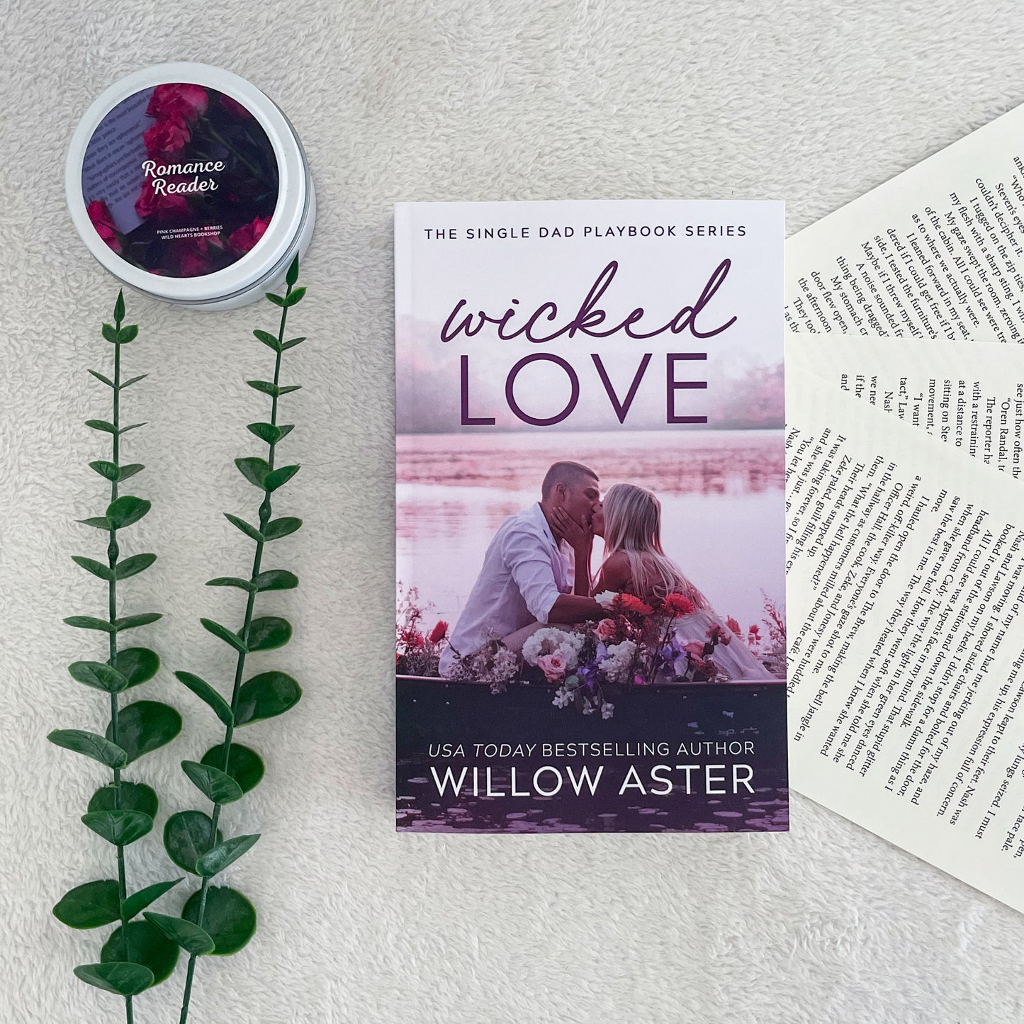 The Single Dad Playbook series by Willow Aster