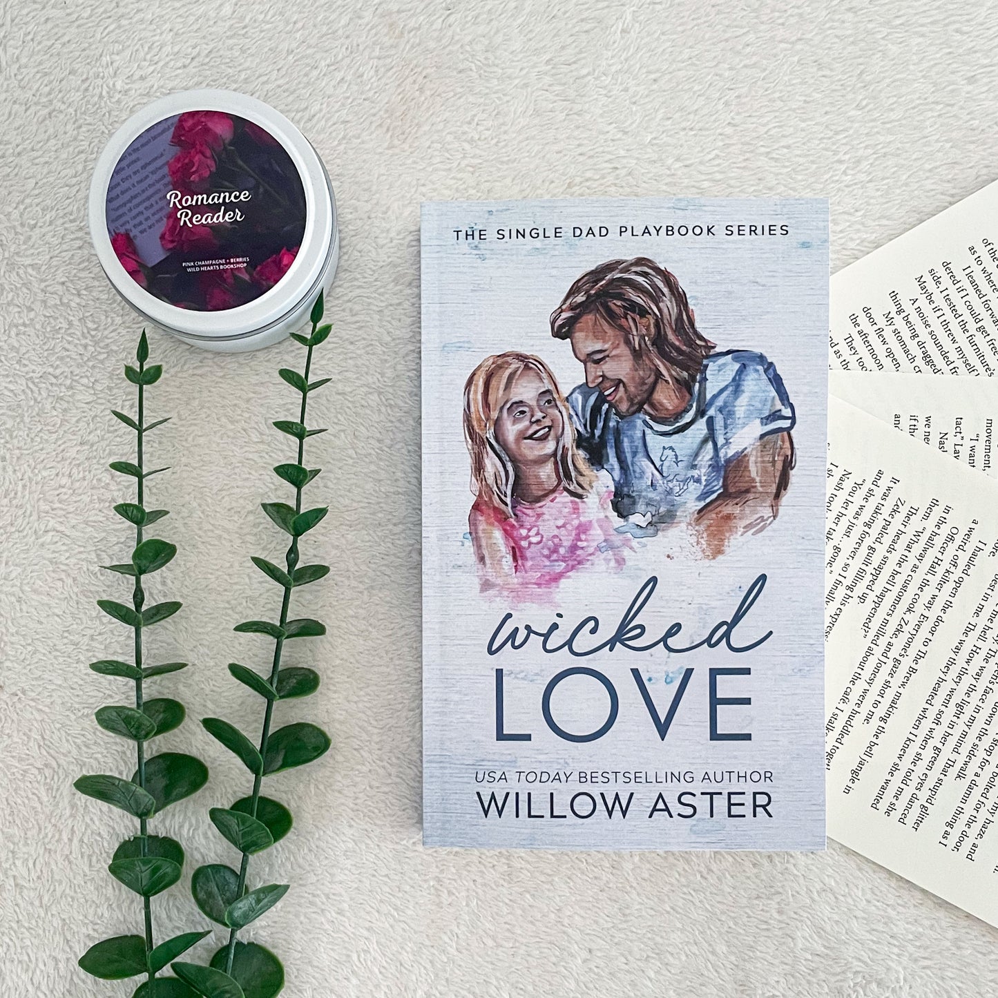 The Single Dad Playbook series by Willow Aster