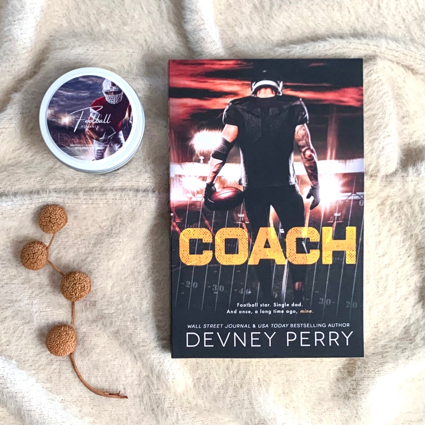 Treasure State Wildcats Series by Devney Perry