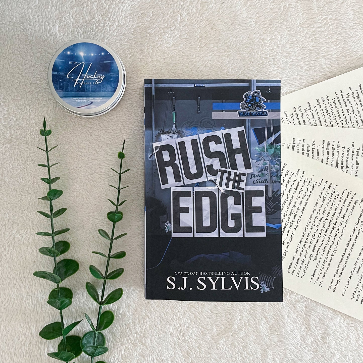 Blue Devils Hockey series by SJ Sylvis