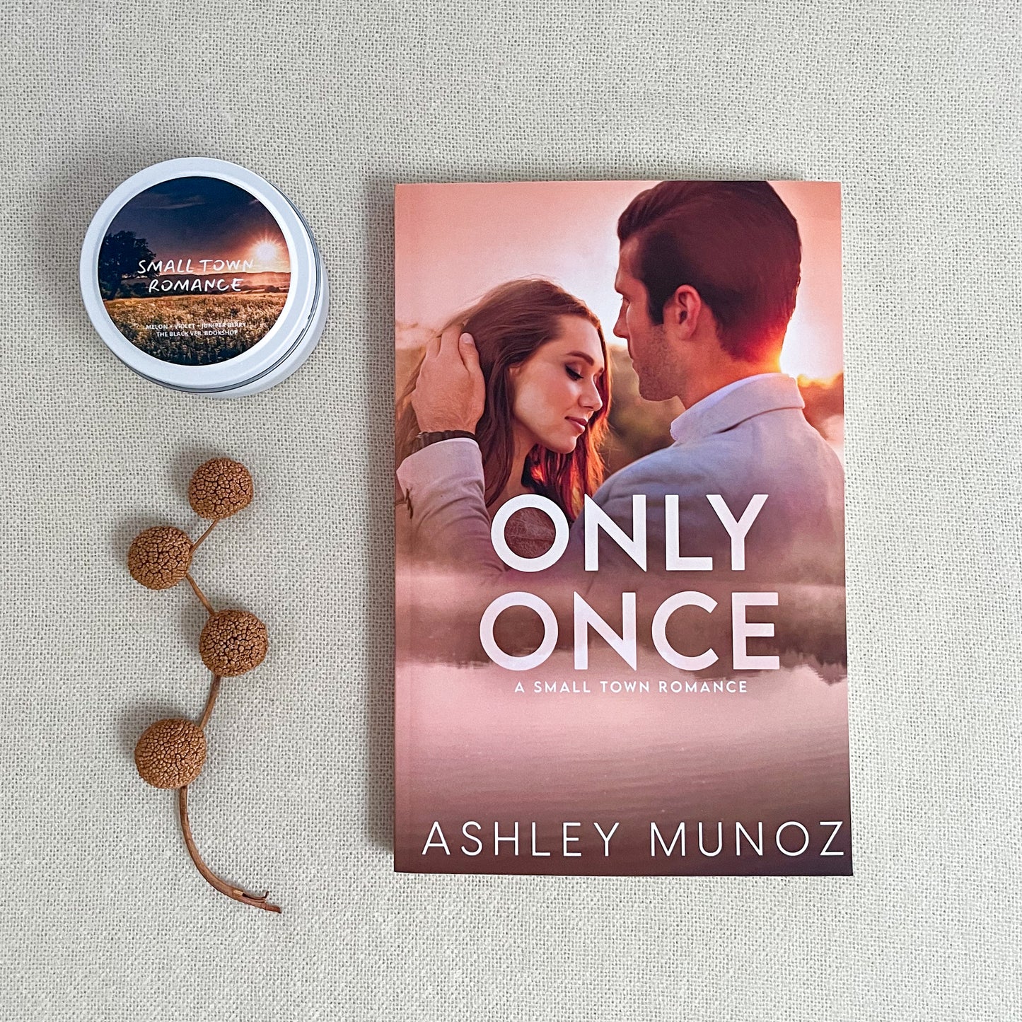 Only Once by Ashley Muñoz