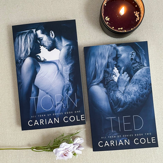 All Torn Up series by Carian Cole