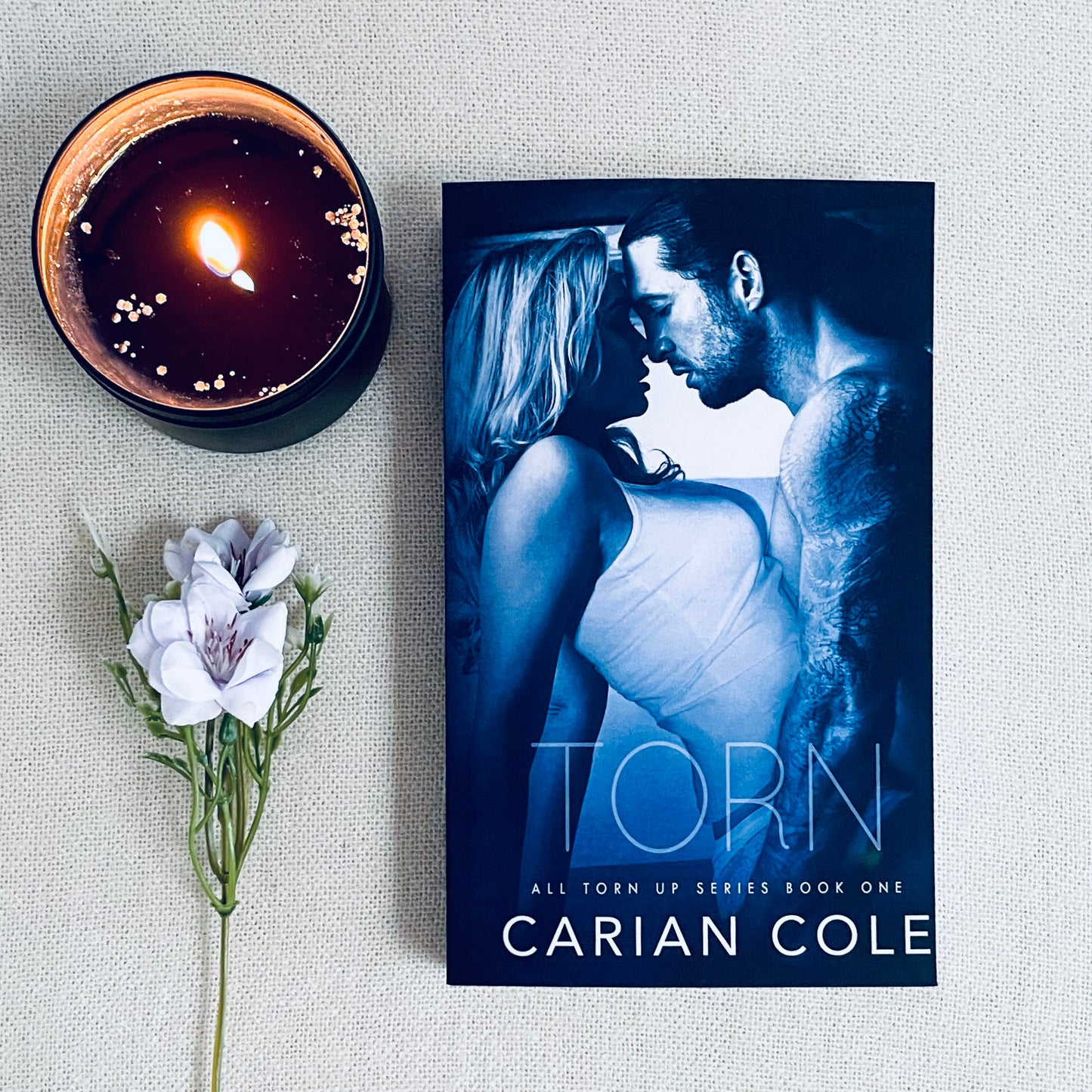 All Torn Up series by Carian Cole
