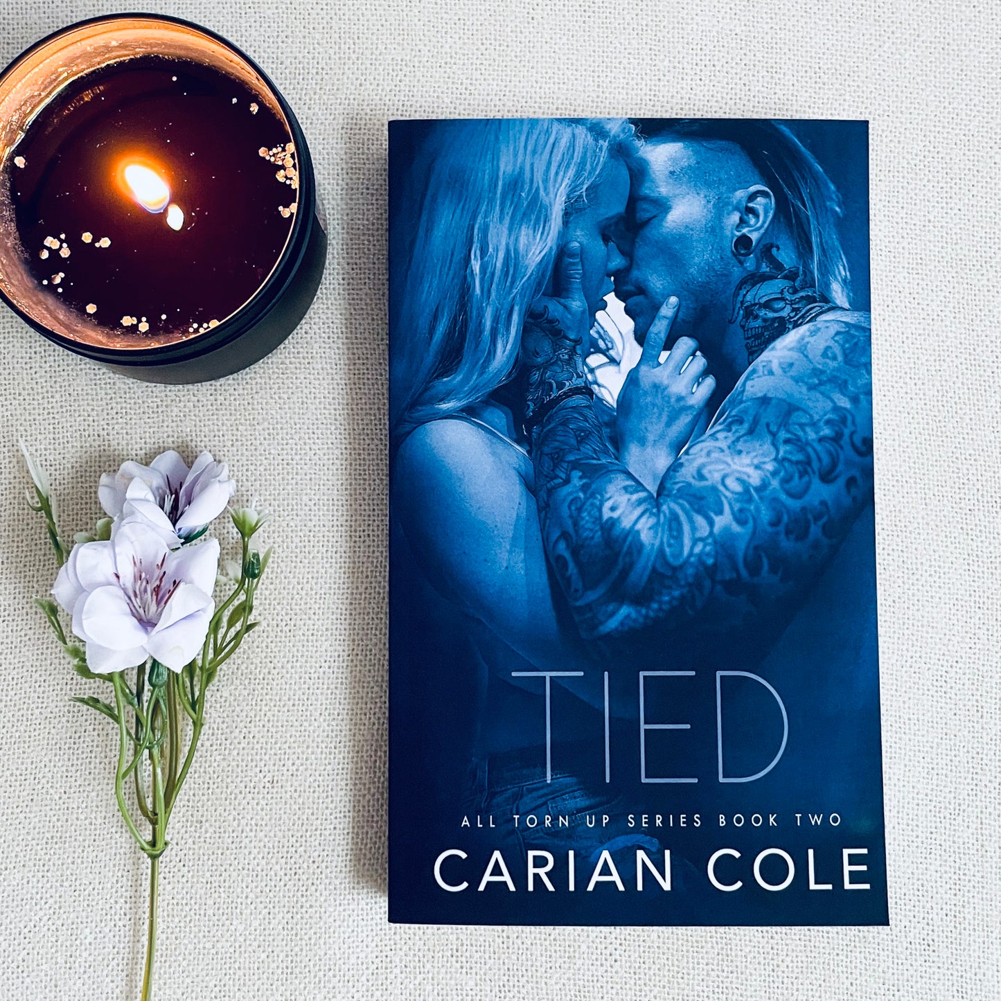 All Torn Up series by Carian Cole