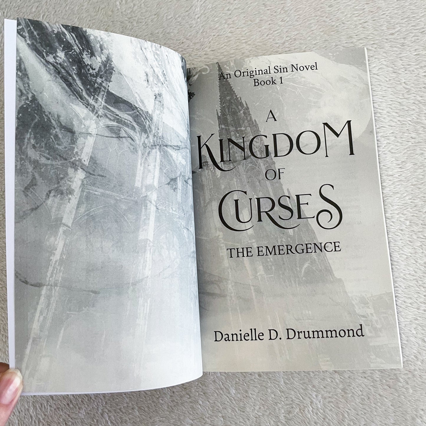 Original Sin series by Danielle D Drummond