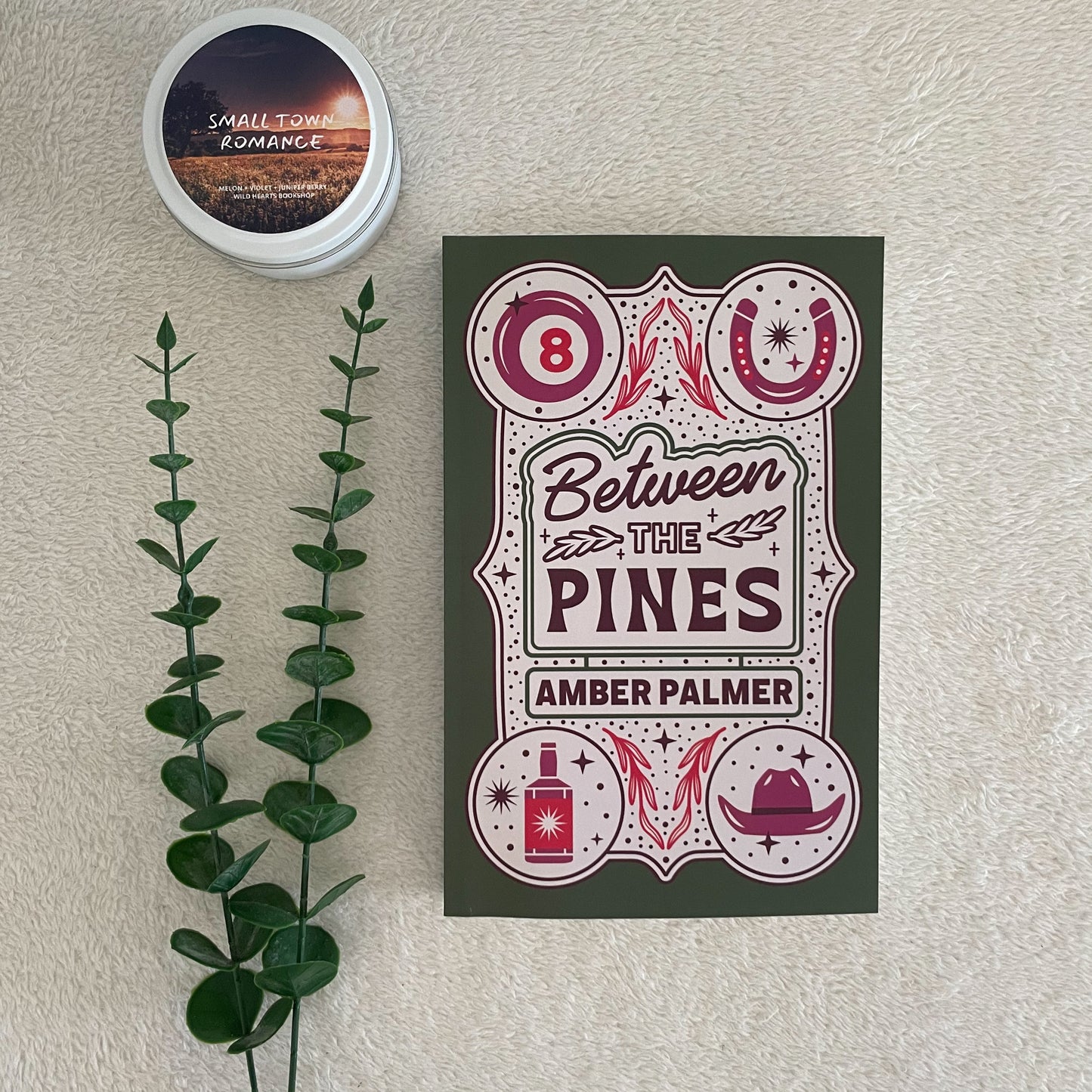 Black Springs Ranch series by Amber Palmer