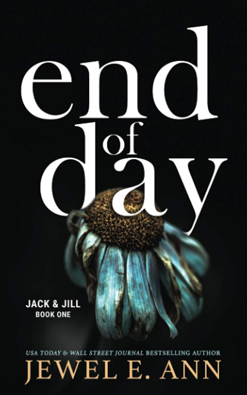 Jack and Jill series by Jewel E Ann