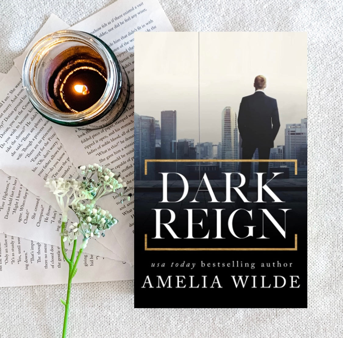 The Collector Trilogy by Amelia Wilde