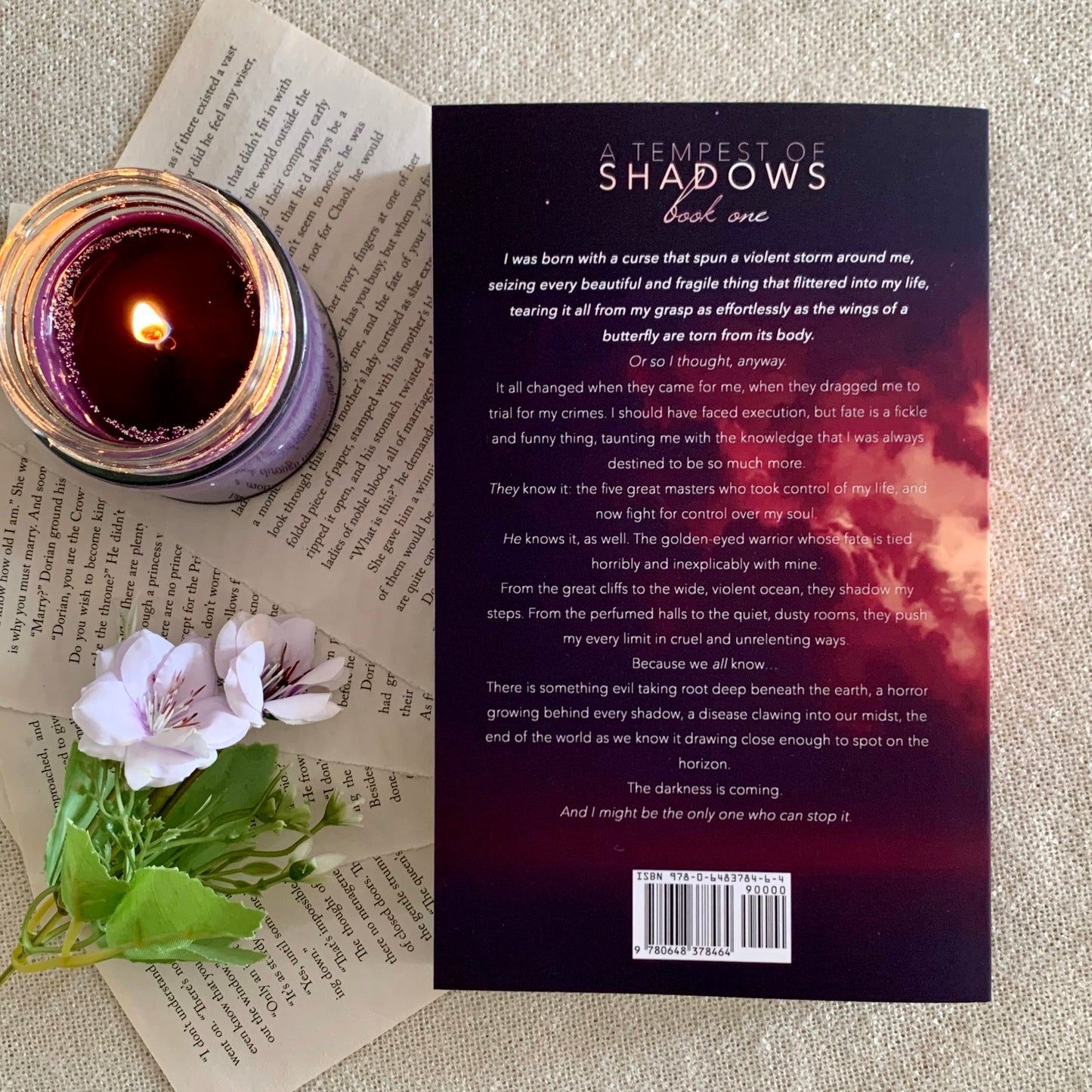 A Tempest of Shadows by Jane Washington