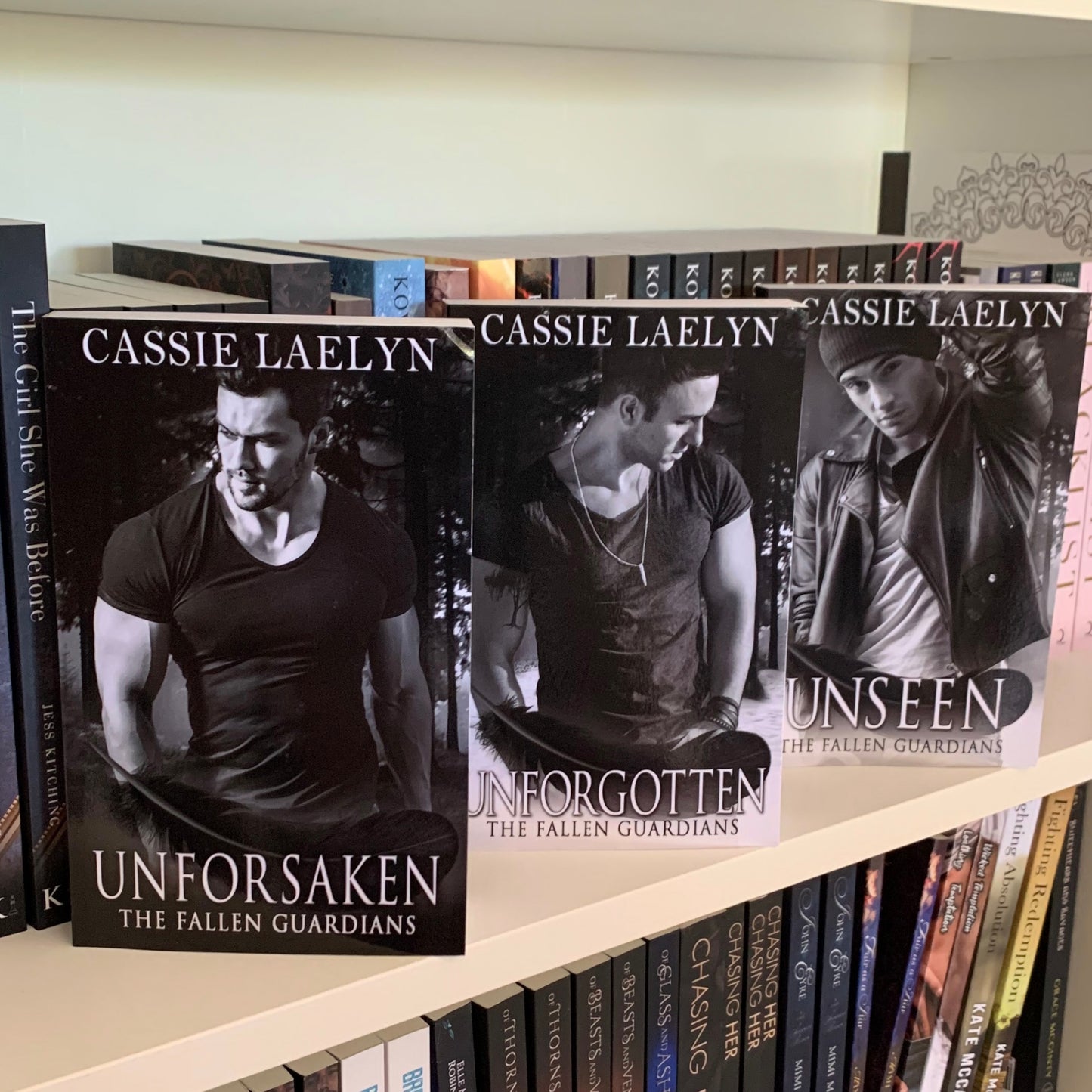 The Fallen Guardians Series by Cassie Laelyn