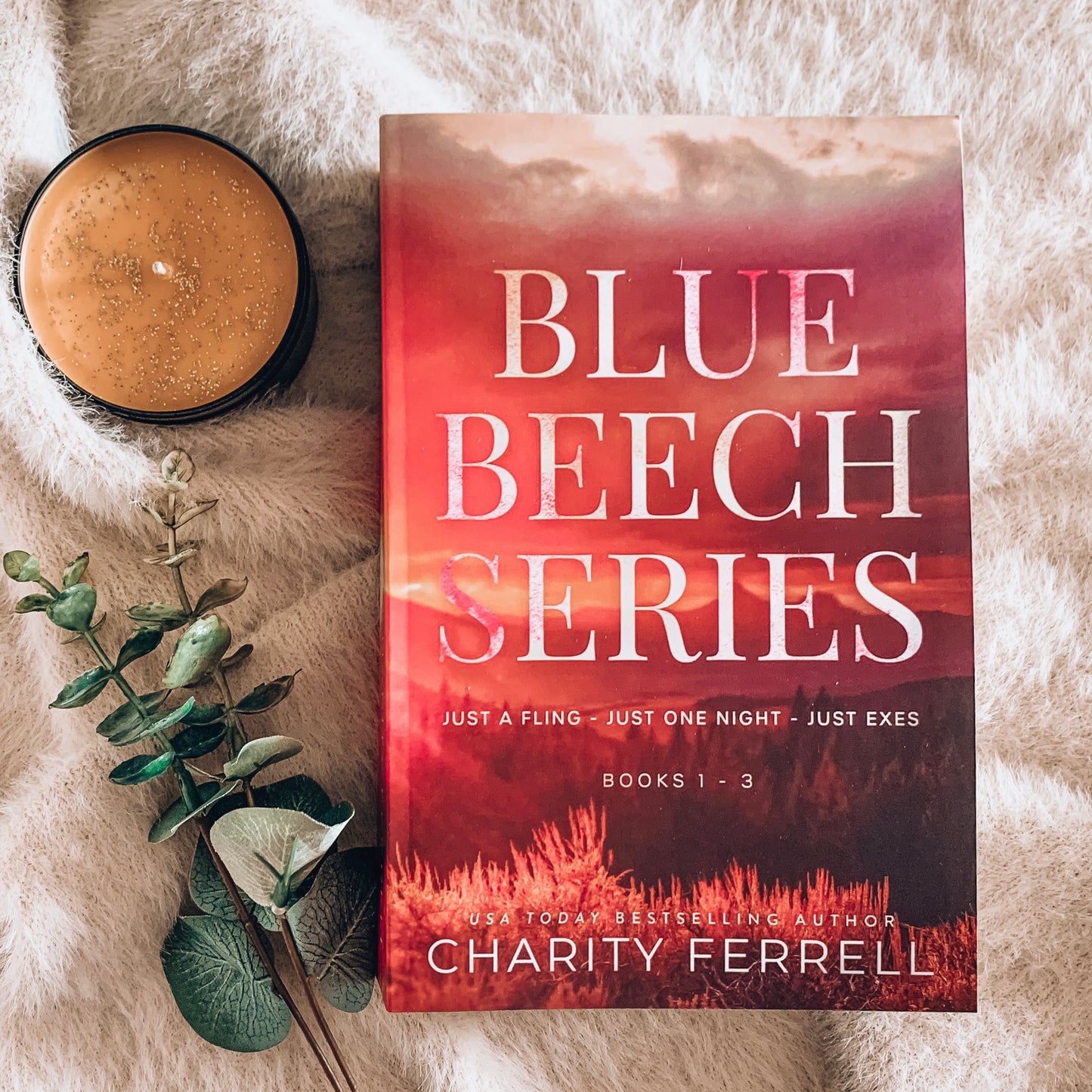 Blue Beech Series by Charity Ferrell