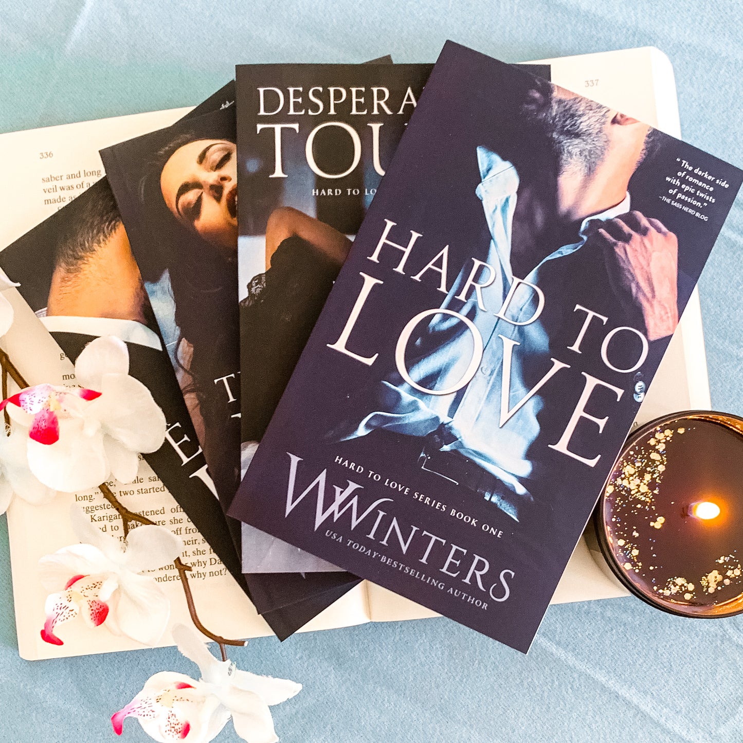 Hard to Love series by Willow Winters