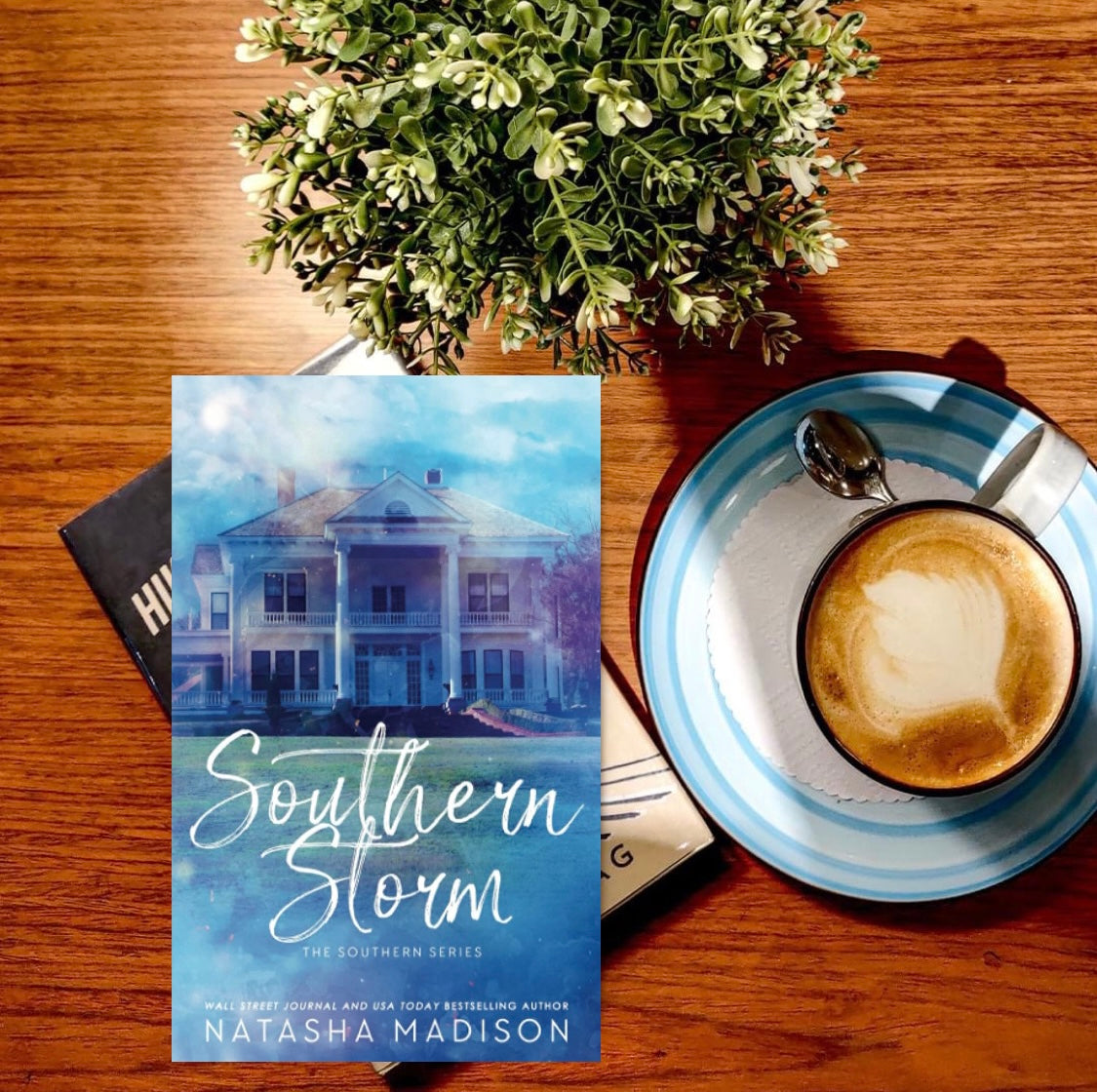 Southern series by Natasha Madison