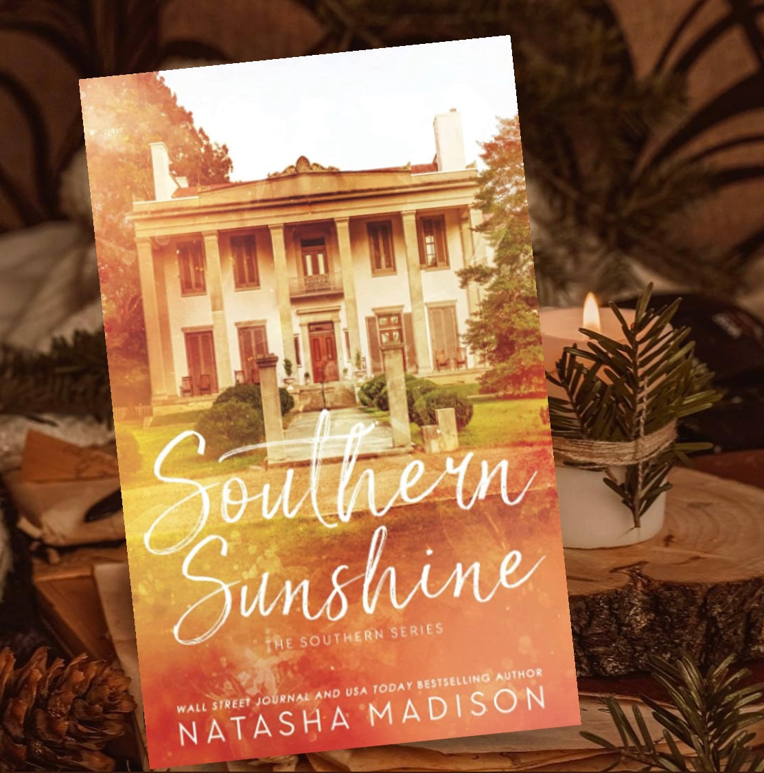 Southern series by Natasha Madison