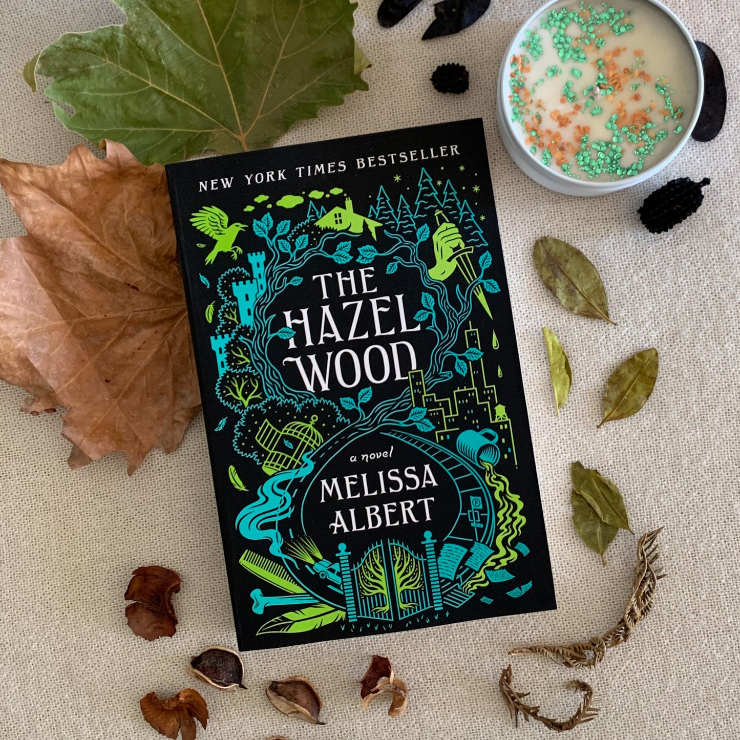 The Hazel Wood Series by Melissa Albert