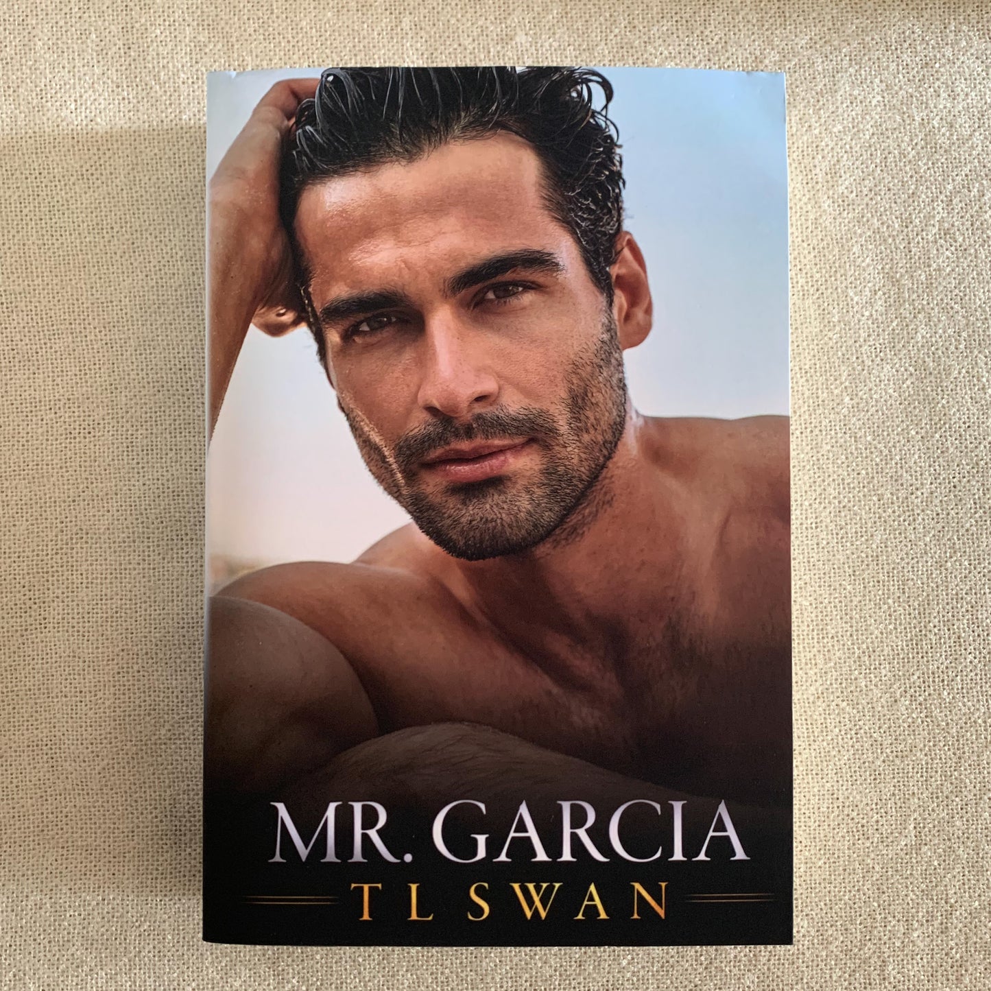Mr Garcia by T L Swan