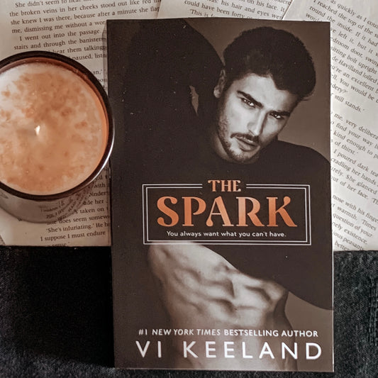 The Spark by Vi Keeland