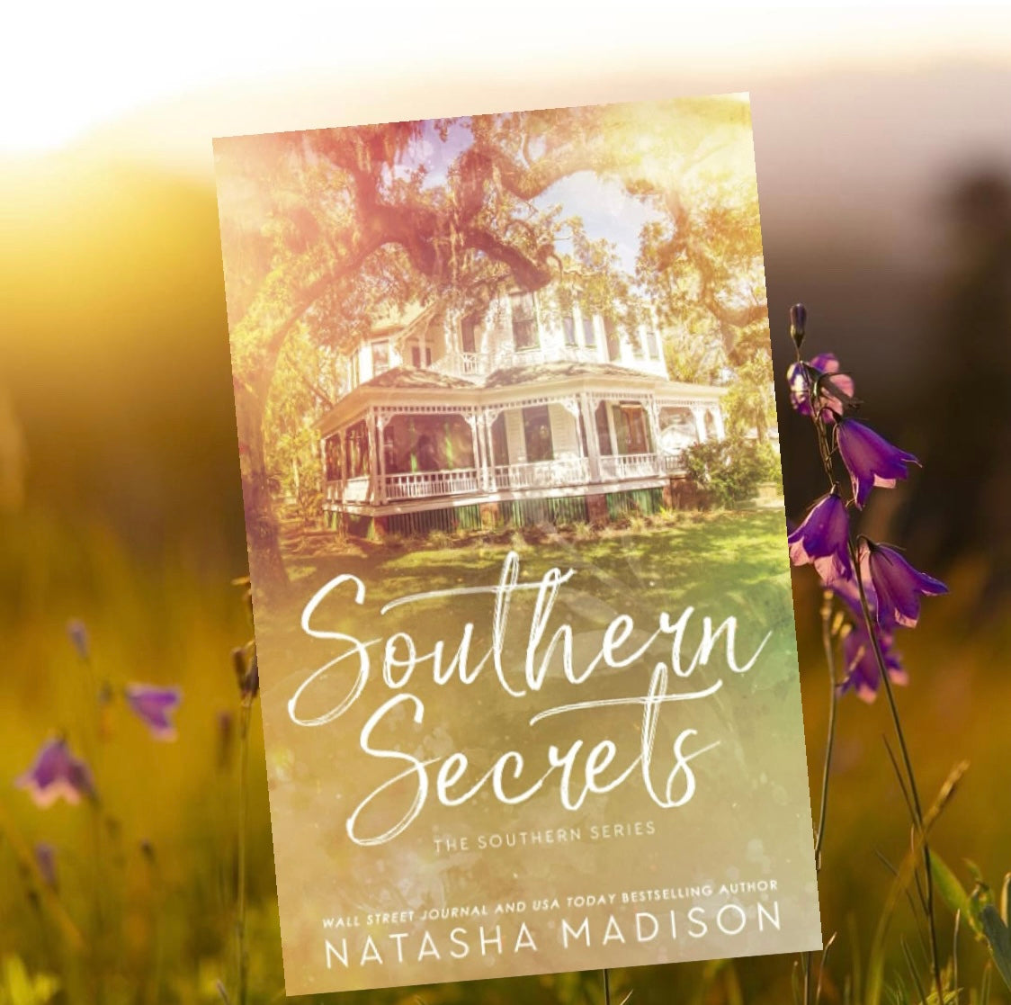 Southern series by Natasha Madison