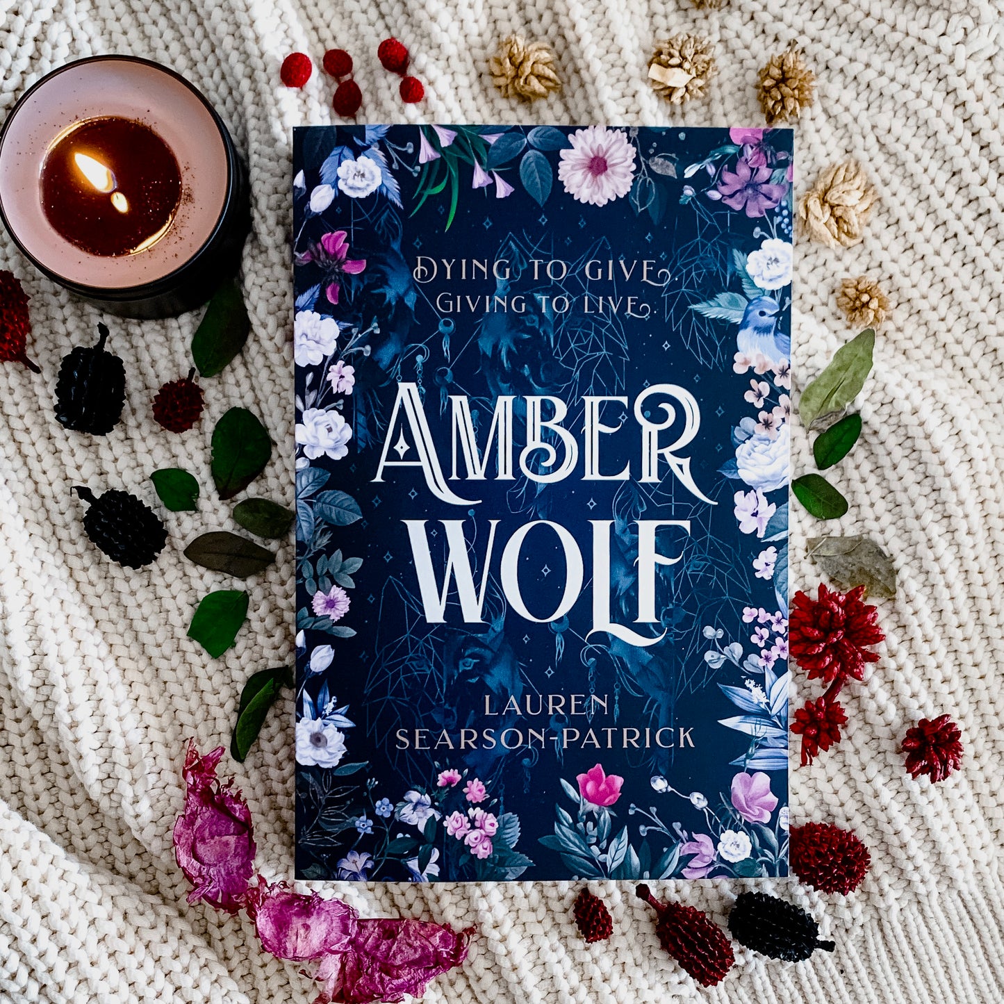 Amber Wolf by Lauren Searson-Patrick