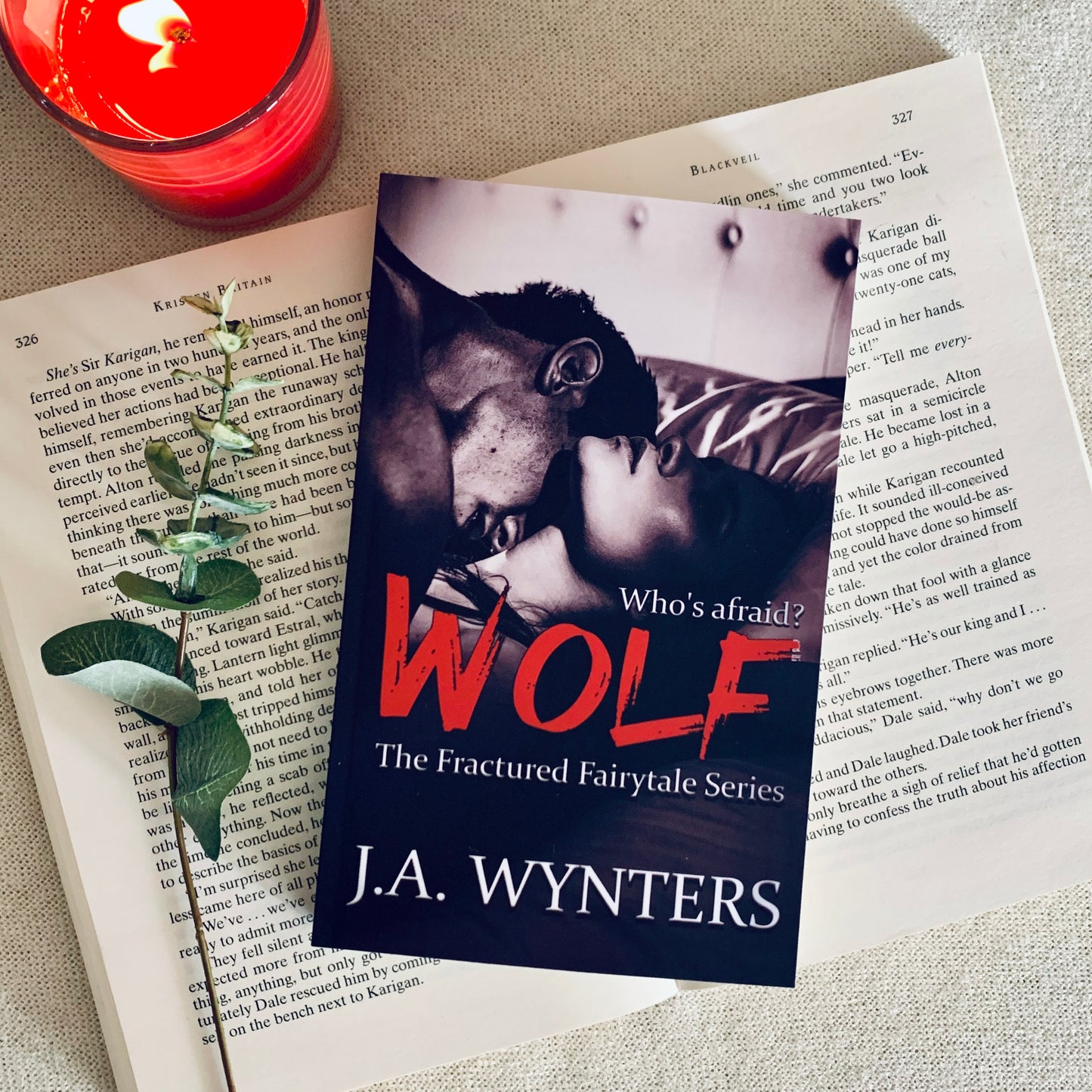 Wolf (A Little Red Riding Hood Retelling) by J A Wynters