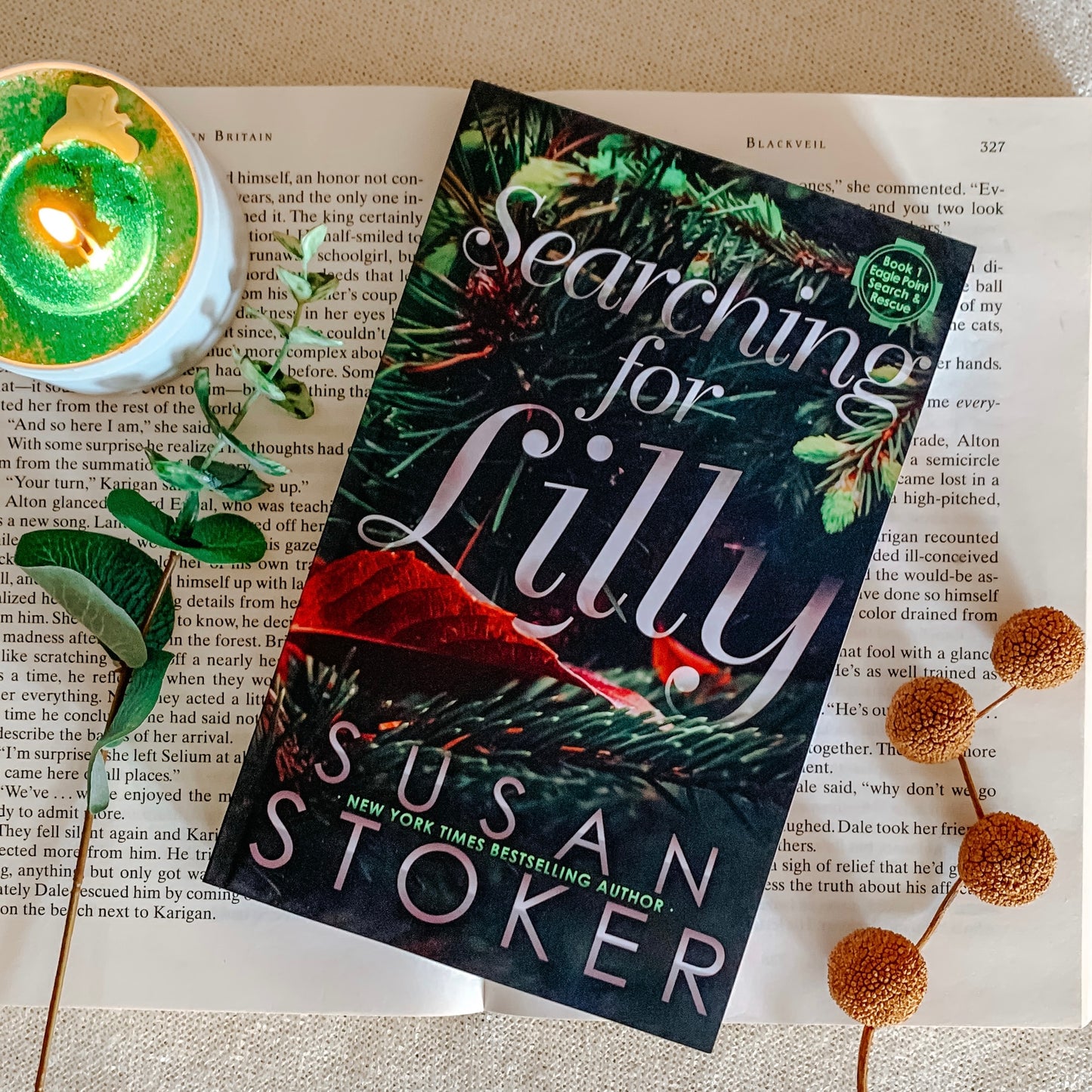 Searching for Lilly (Special Edition) by Susan Stoker